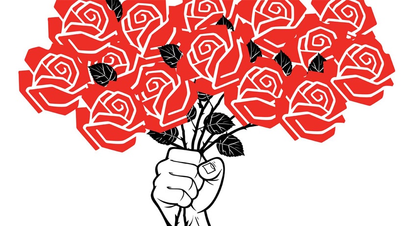 Opinião